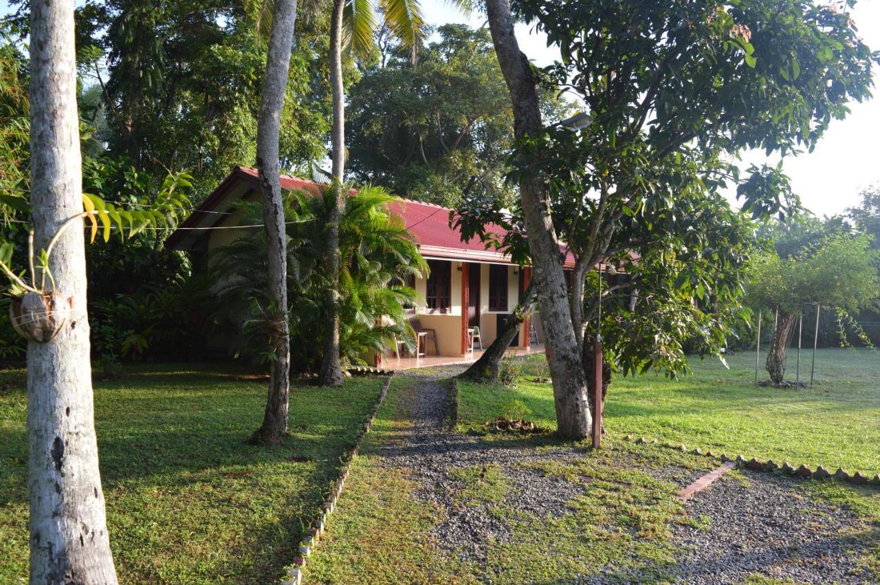Zum Deutschen Bed & Breakfast Bentota Exterior photo