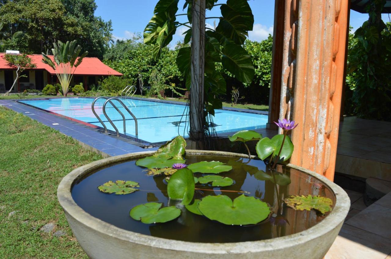Zum Deutschen Bed & Breakfast Bentota Exterior photo
